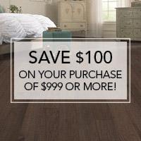Save $100 on your purchase of $999 or more!