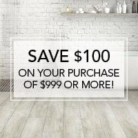 Save $100 on your purchase of $999 or more!
